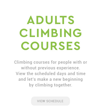OAKA  Adults Climbing Courses